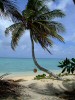 Another Day in the Paradise of Managed Care Reimbursement